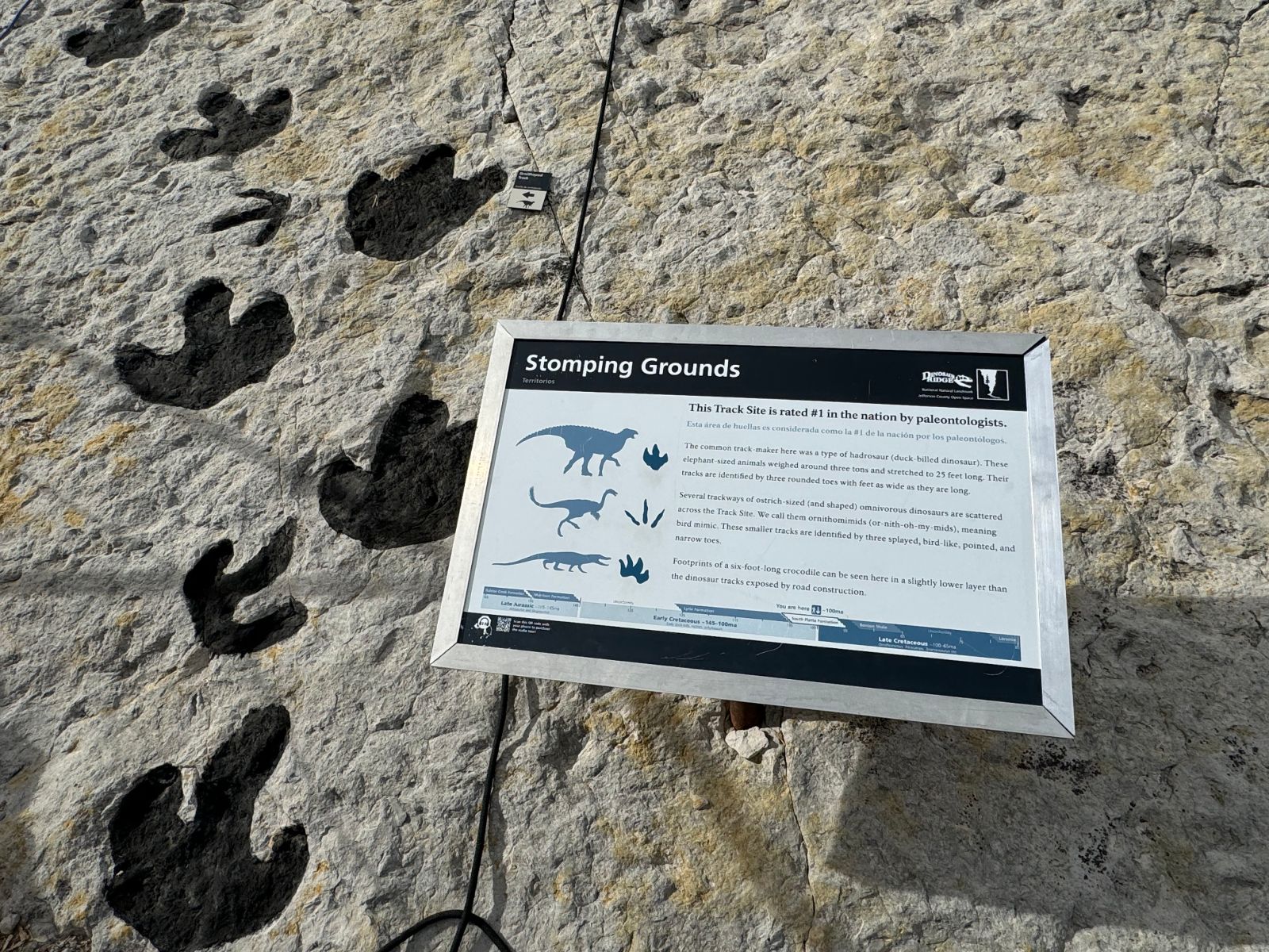 Dinosaur footprints and an interpretive sign at the Main Tracksite.